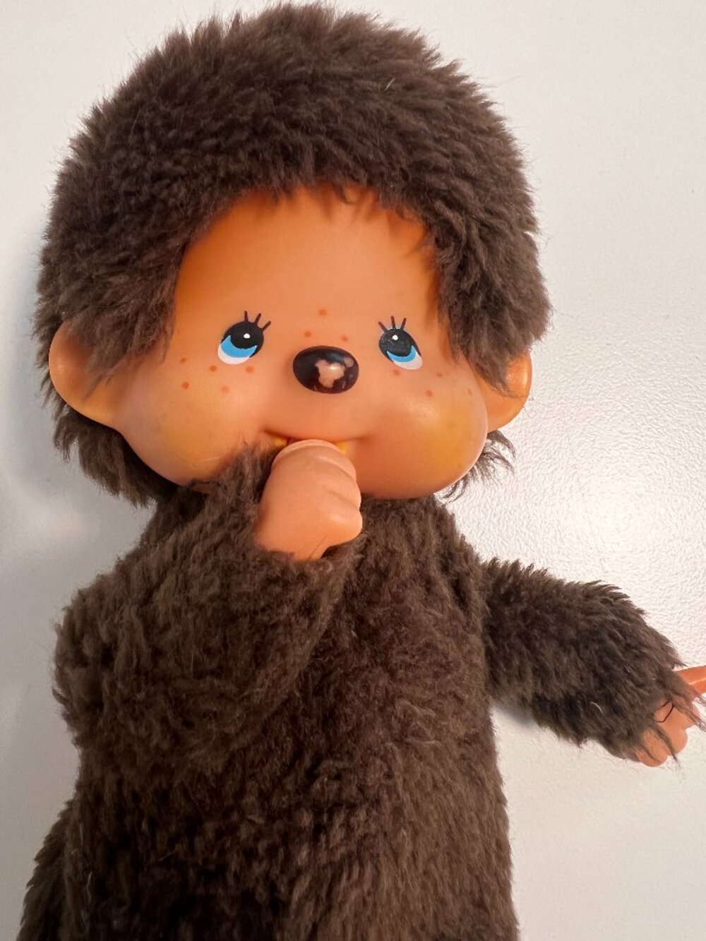 Original Monchhchi, brown